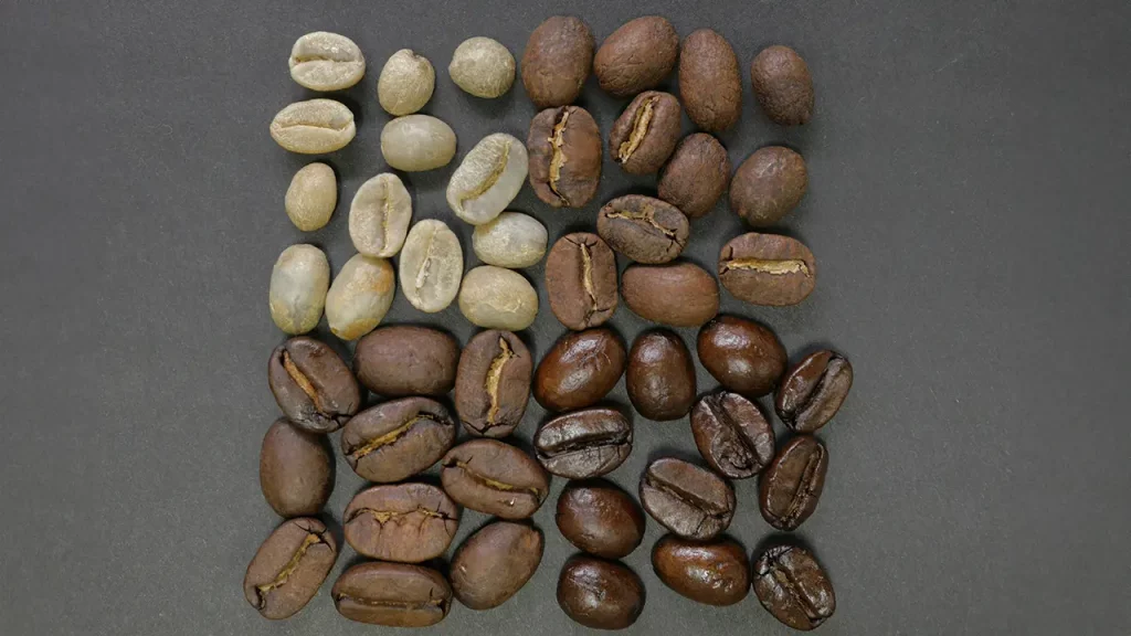 Kaffeebohnen in den verschiedenen Röstgraden