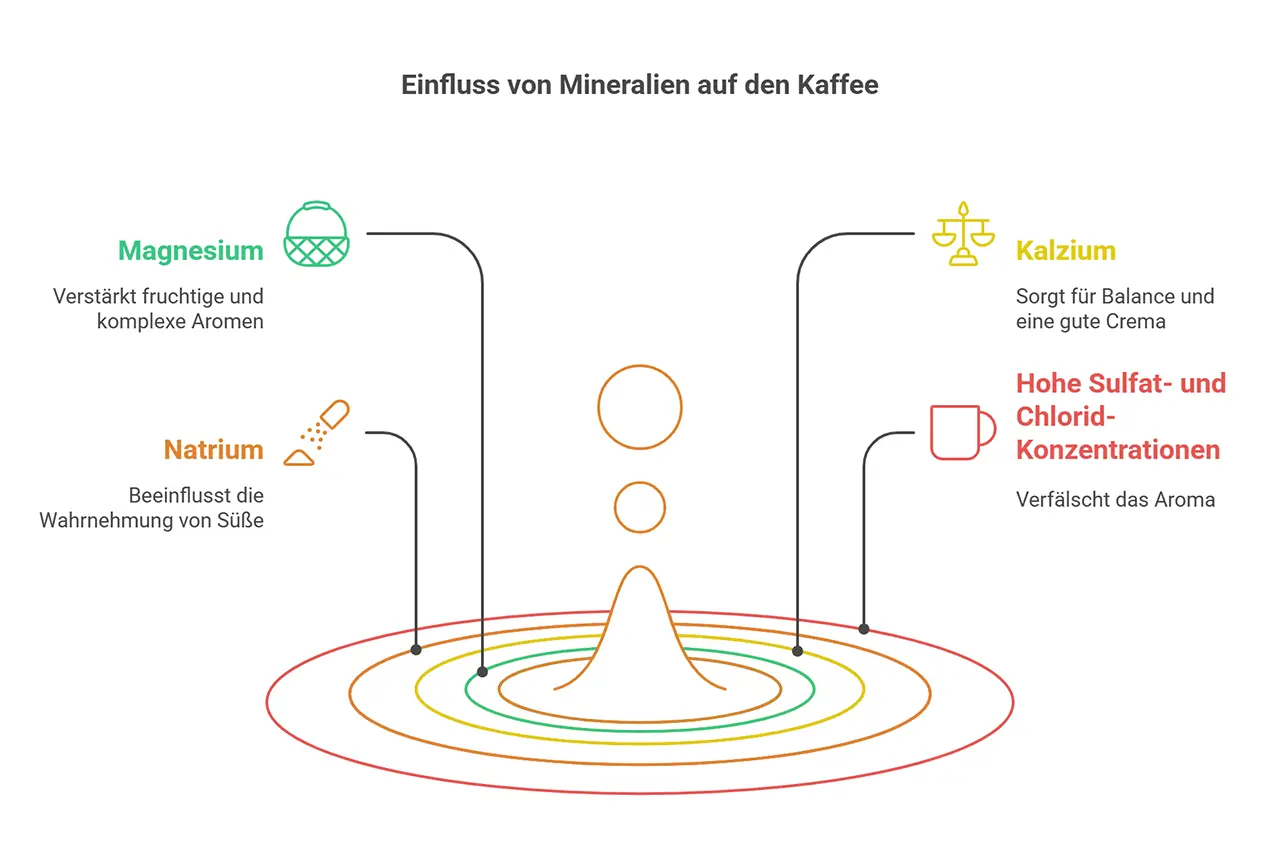 Infografik über den Einfluss von Mineralien im Wasser auf den Geschmack des Kaffes