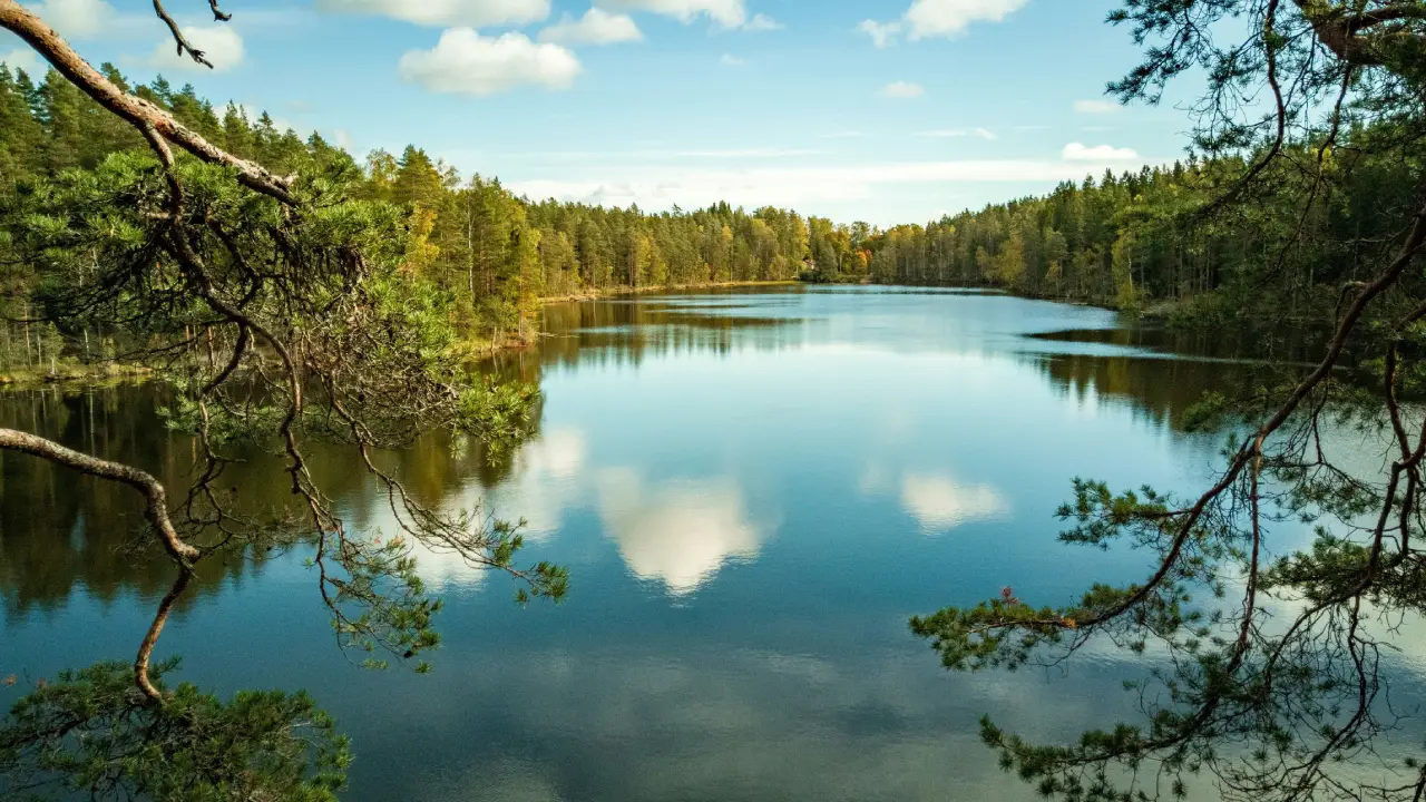Finnische Landschaft mit See